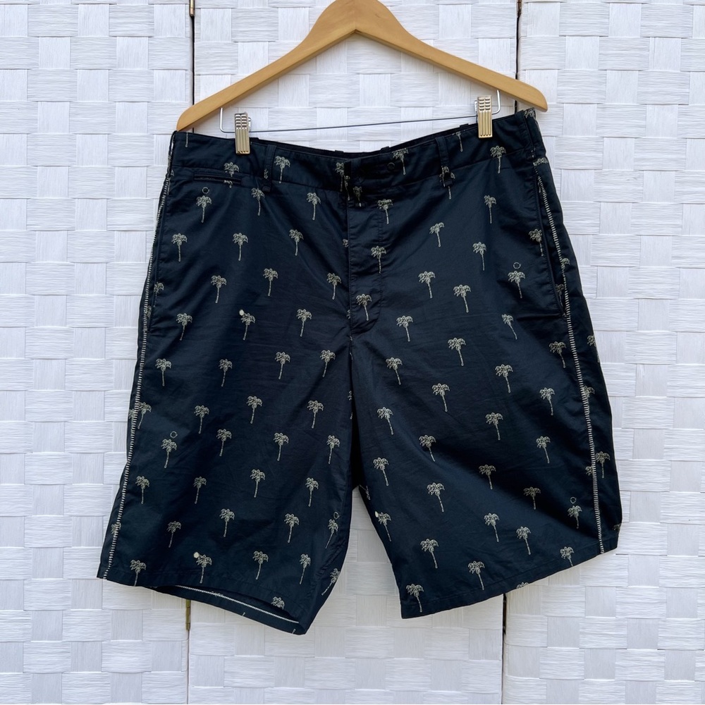 Rag & Bone Flat Front Blue and White Shorts